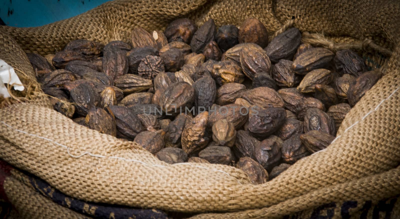 Cocoa in India