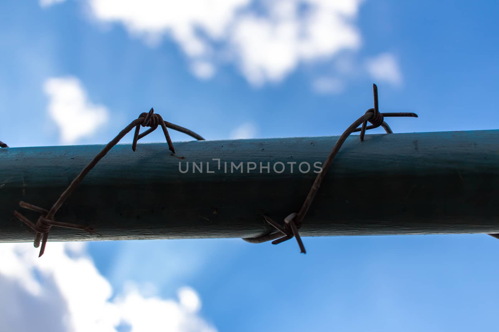 Closeup barbed wire against a beautiful blue sky and white clouds.