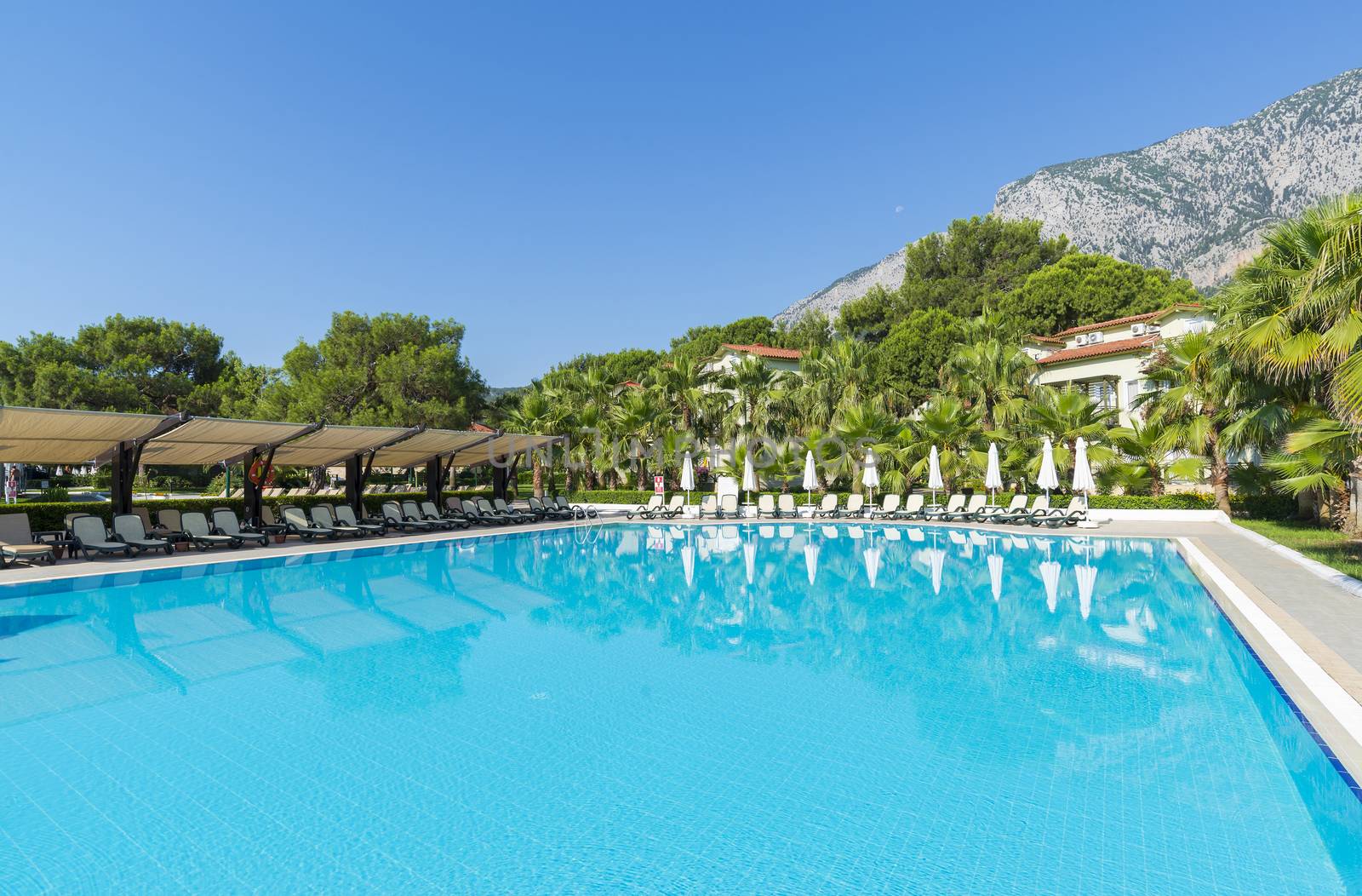 Swimming pool with water in open air by olgavolodina