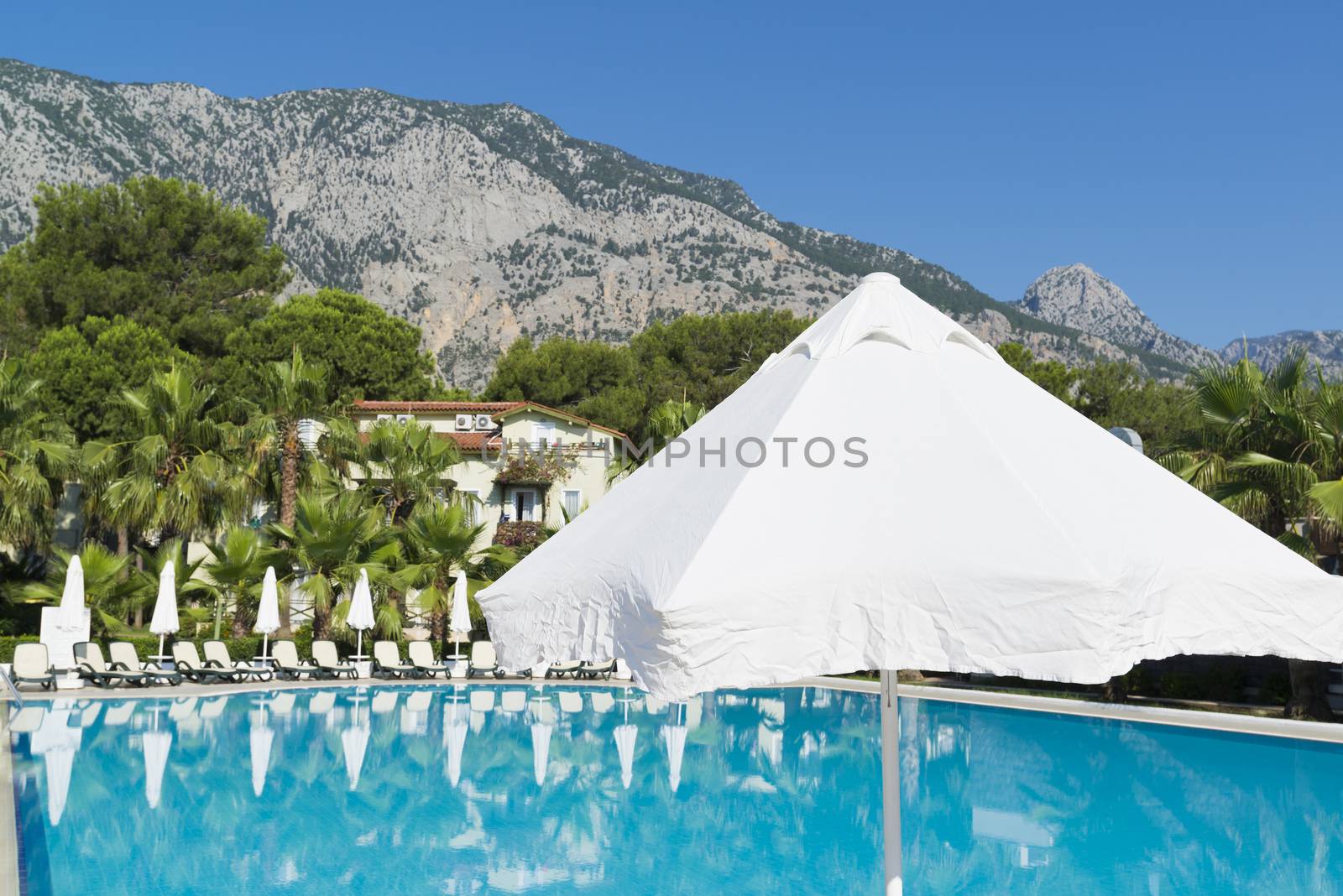 Swimming pool with water in open air by olgavolodina