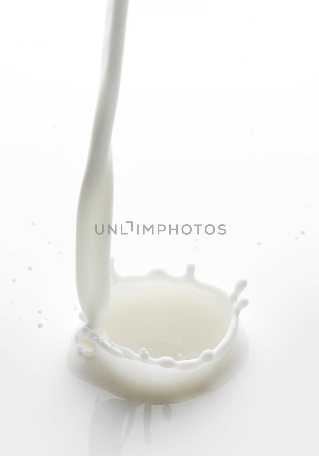 Pouring milk splash on white background macro