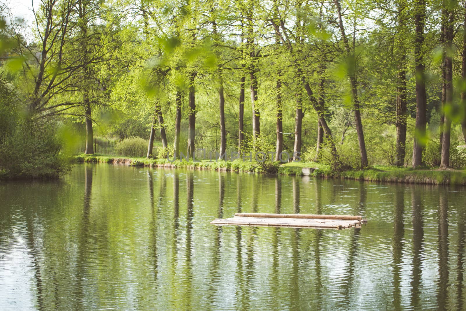 Landscape with trees, reflecting in the water