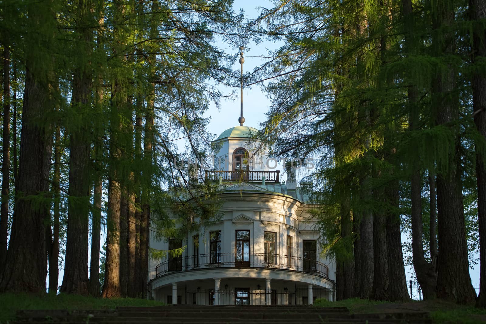 beautiful Homestead in the woods