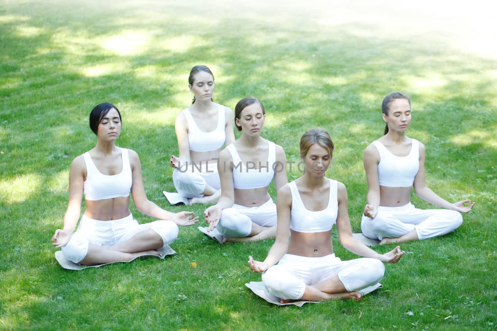 Women sitting in lotus position during yoga training at park