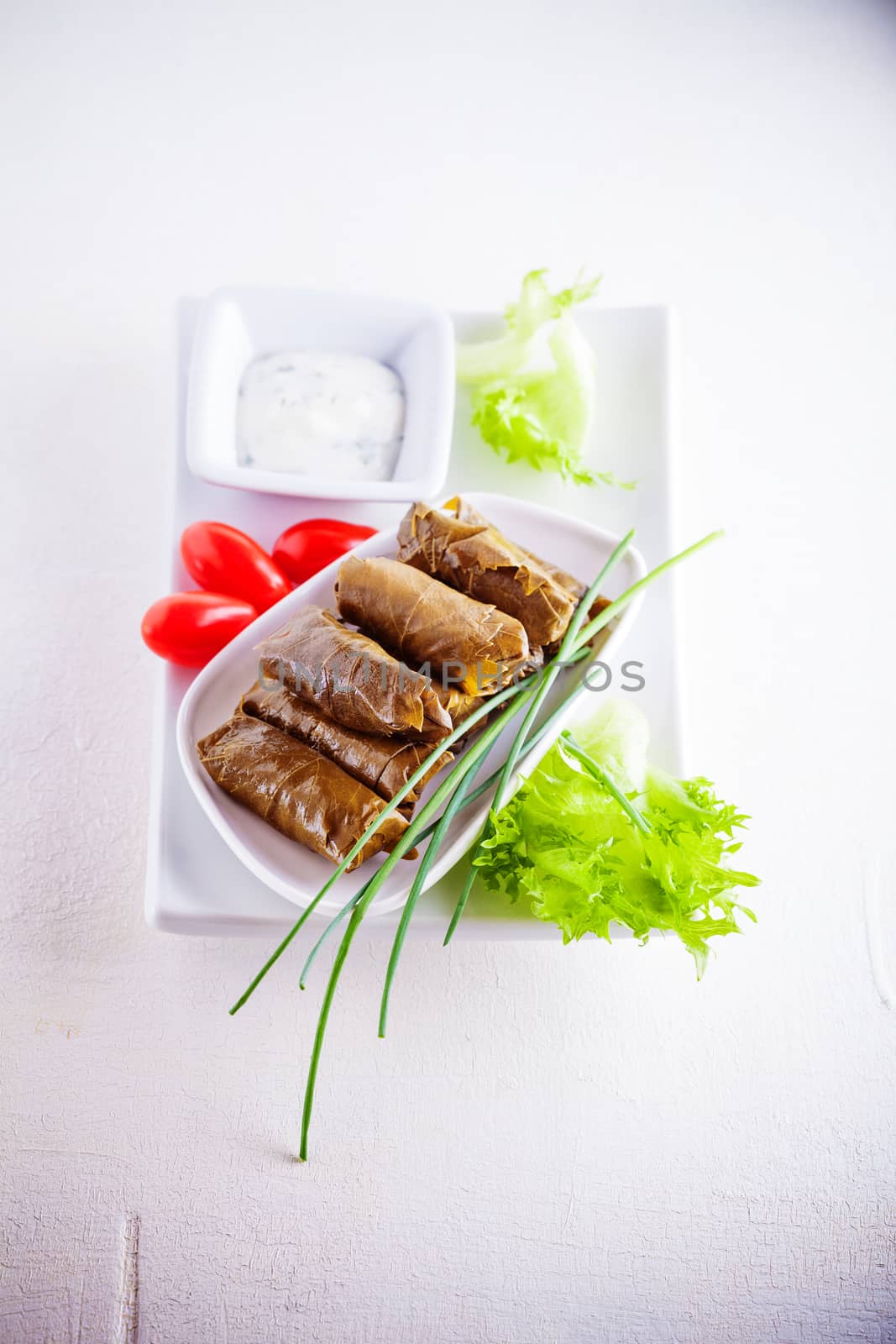 Dolma, stuffed grape leaves, turkish and greek cuisine 