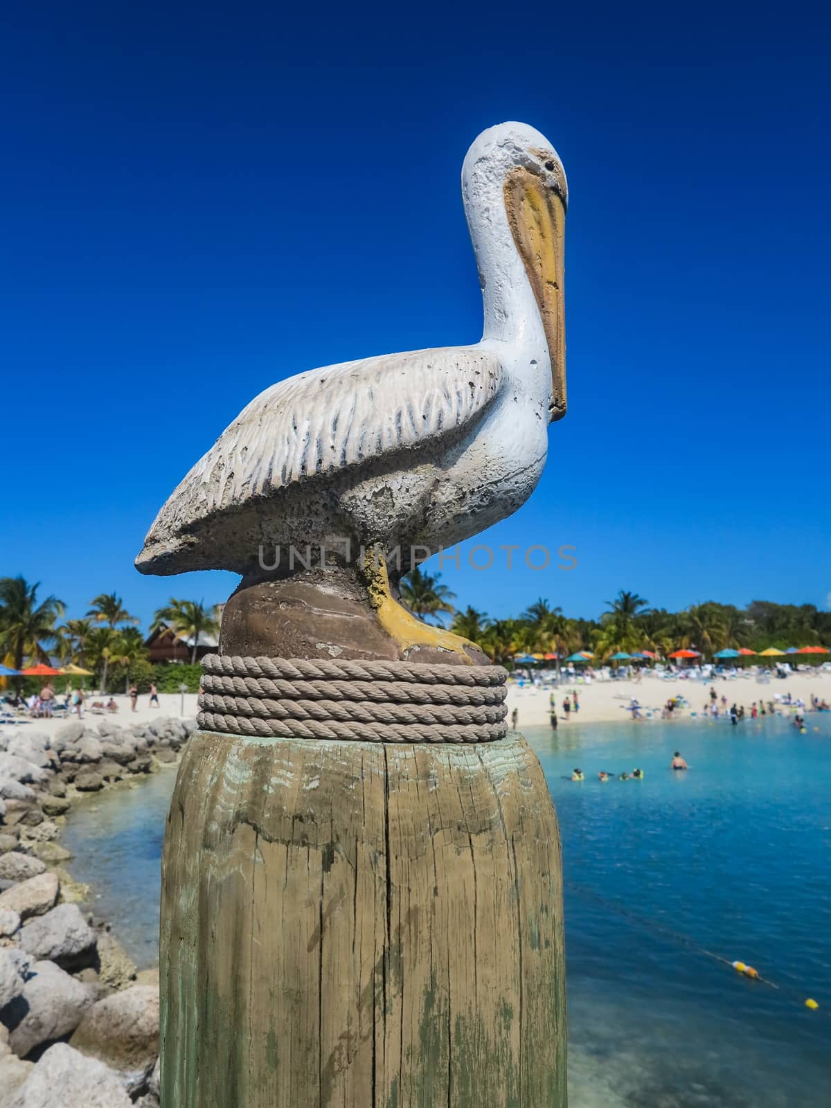 A pelican statue by the beach and ocean