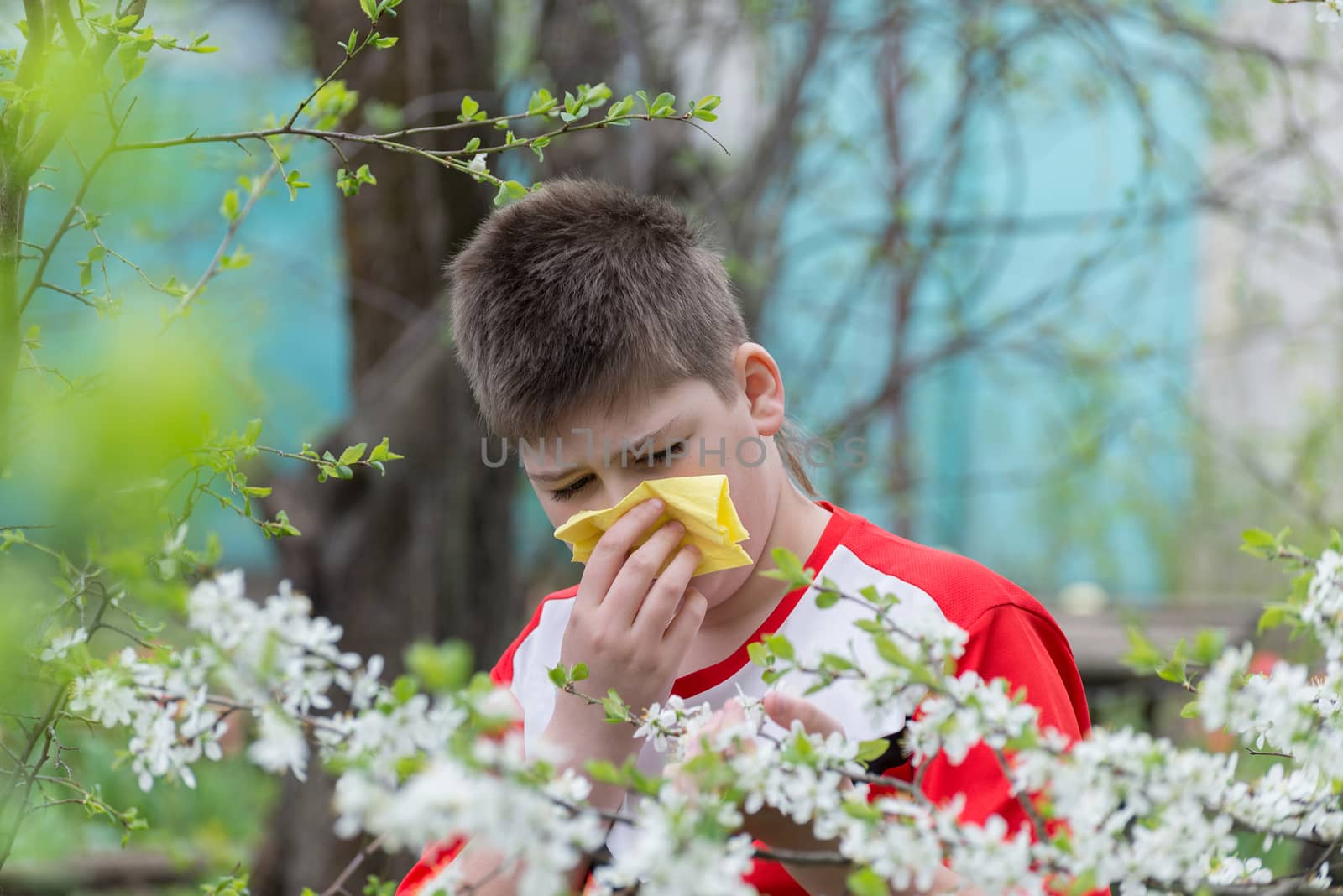  Boy with allergic rhinitis in  spring garden by olgavolodina