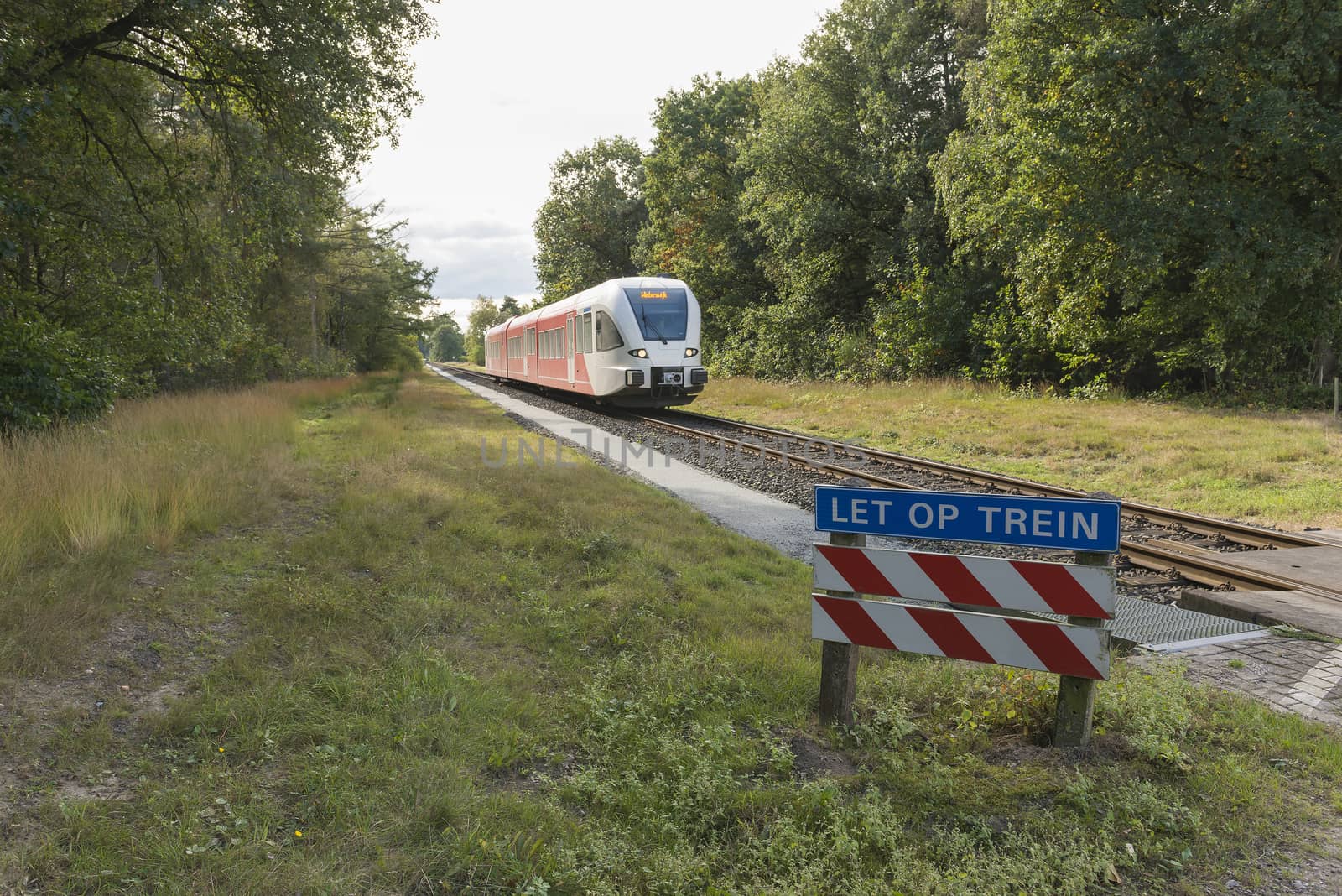 Diesel train in the Achterhoek region between Aalten and Winters by Tofotografie