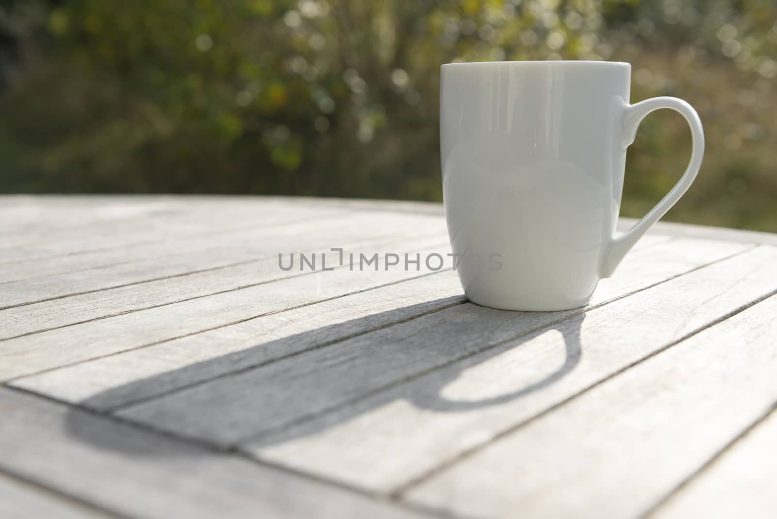 White ceramic drinking cup on a hard wooden table in the sunlight
