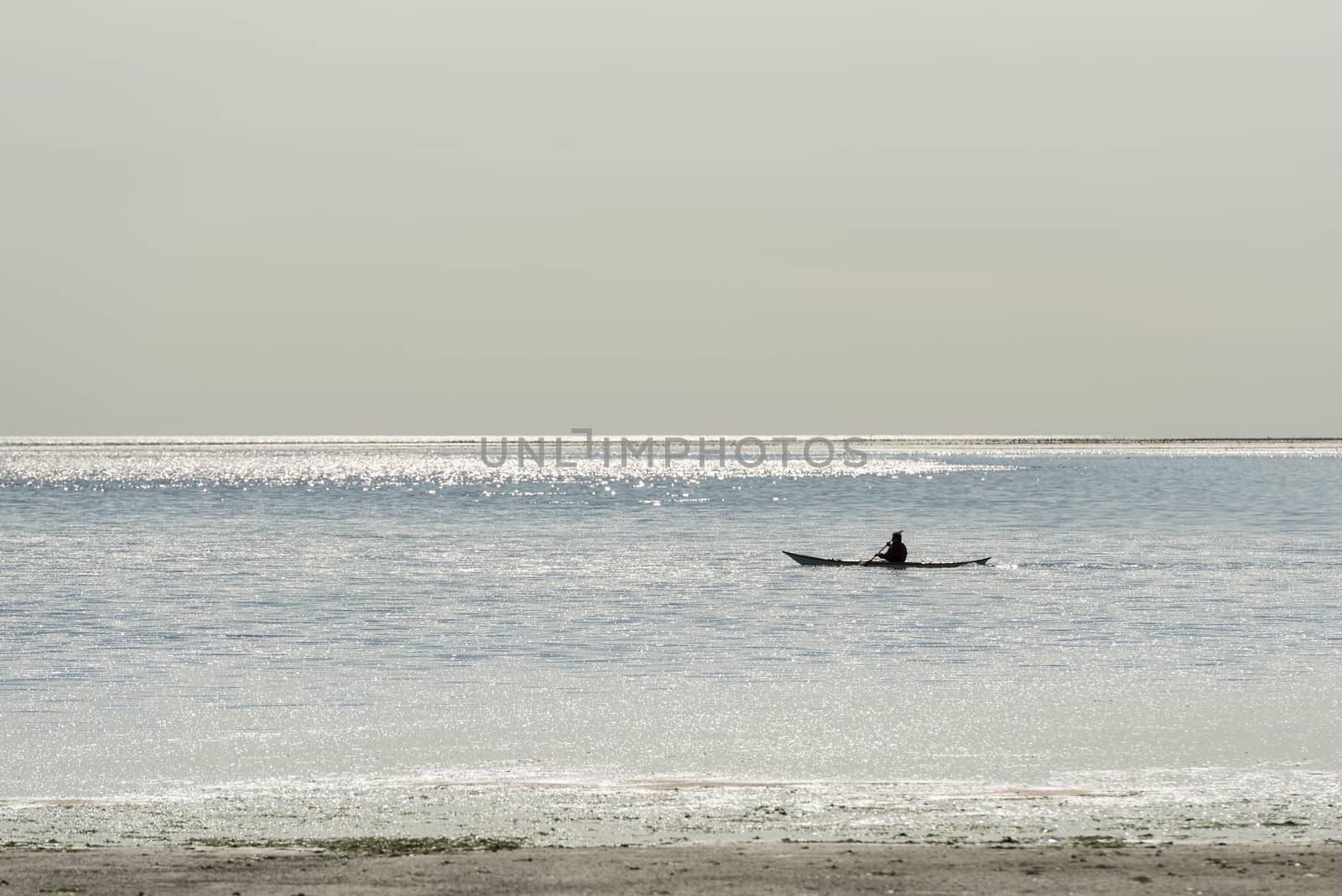 Canoeist on the Wadden Sea at Vlieland
 by Tofotografie