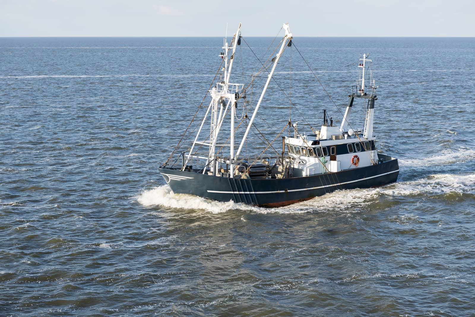 Fishing boat in the morning light on the UNESCO protected Dutch Wadden Sea near Harlingen in the Netherlands
