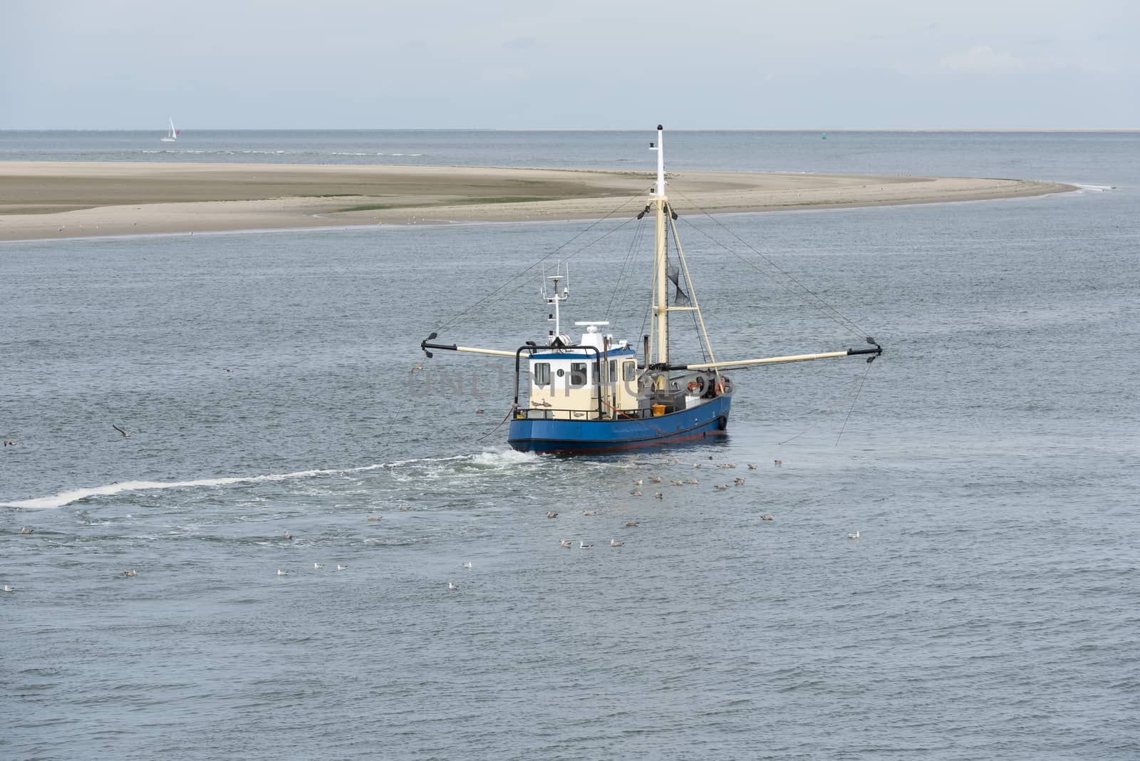 Fishing boat on the Wadden Sea 
 by Tofotografie