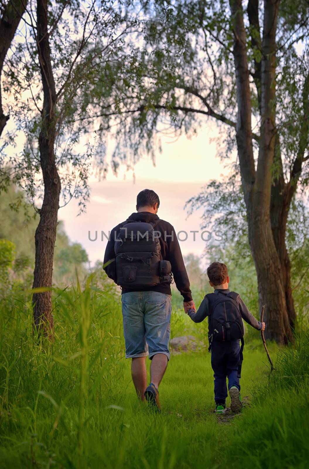 Father and son walking in spring forest 
