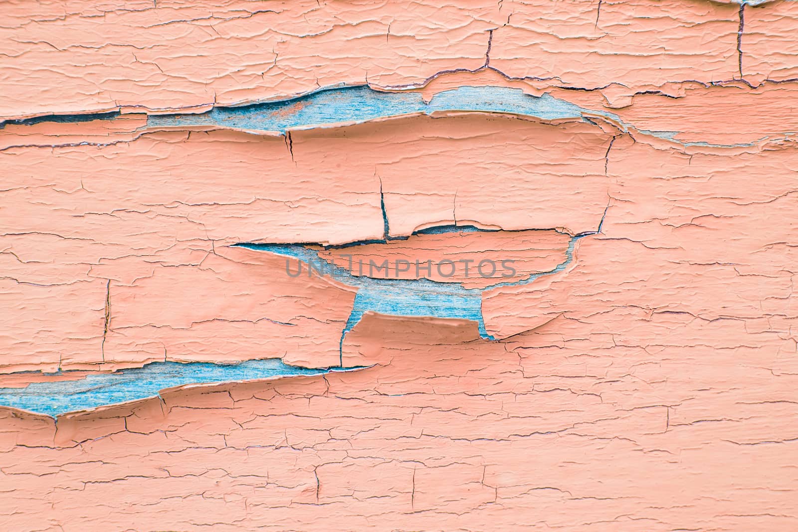 Cracking and peeling pink paint on a wall. Vintage wood background with peeling paint. Old board with Irradiated paint