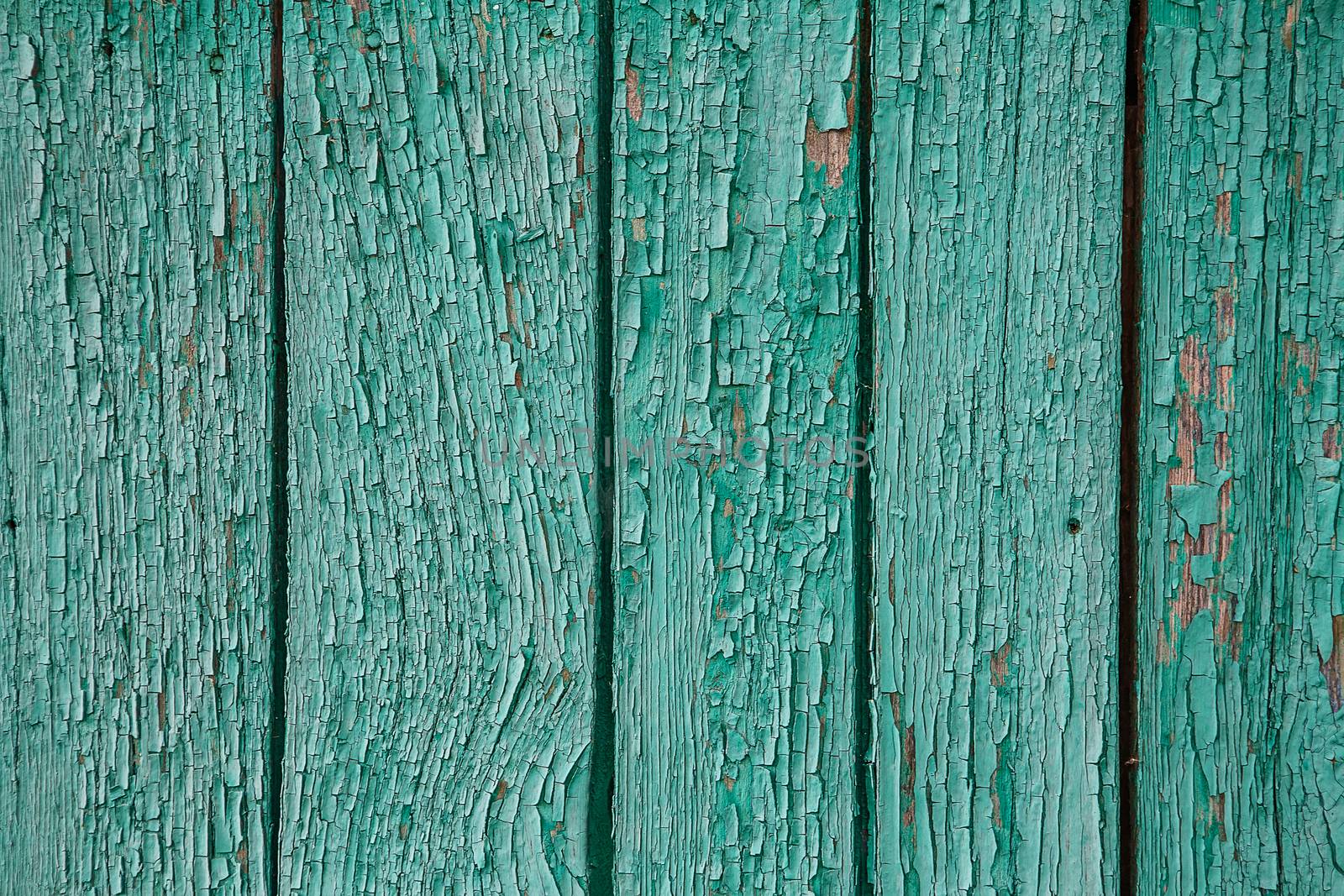 Cracking and peeling blue paint on a wall. Vintage wood background with green peeling paint. Old board with Irradiated paint