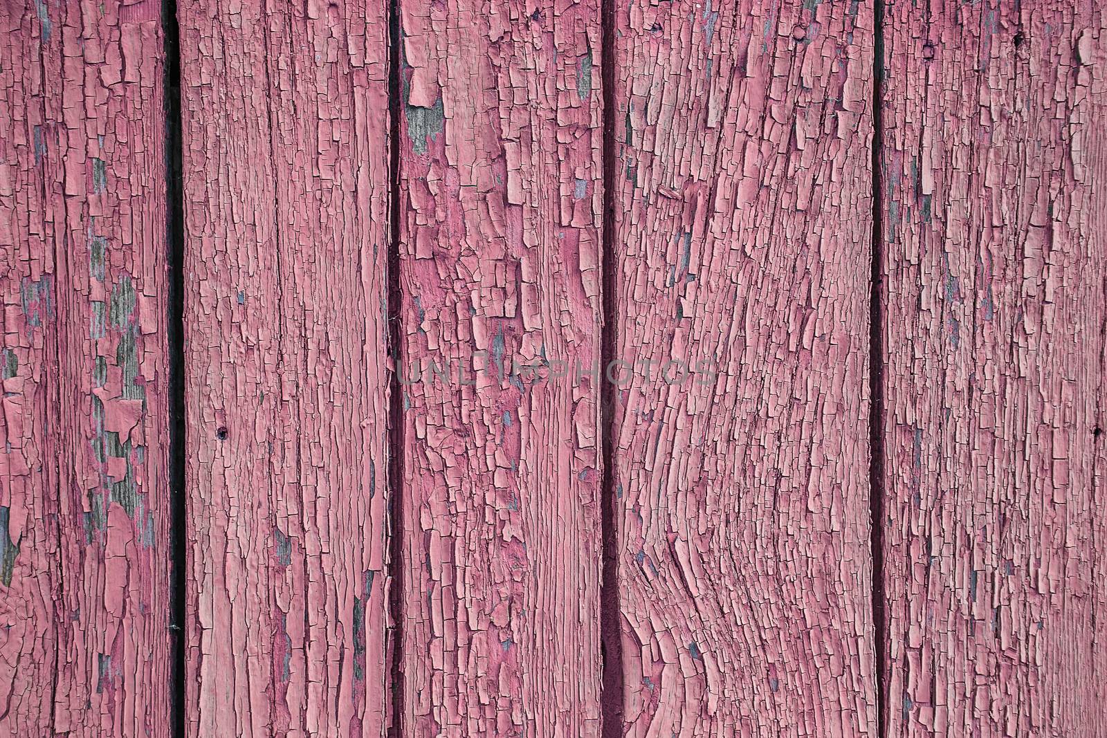 Cracking and peeling pink paint on a wall. Vintage wood background with green peeling paint. Old board with Irradiated paint