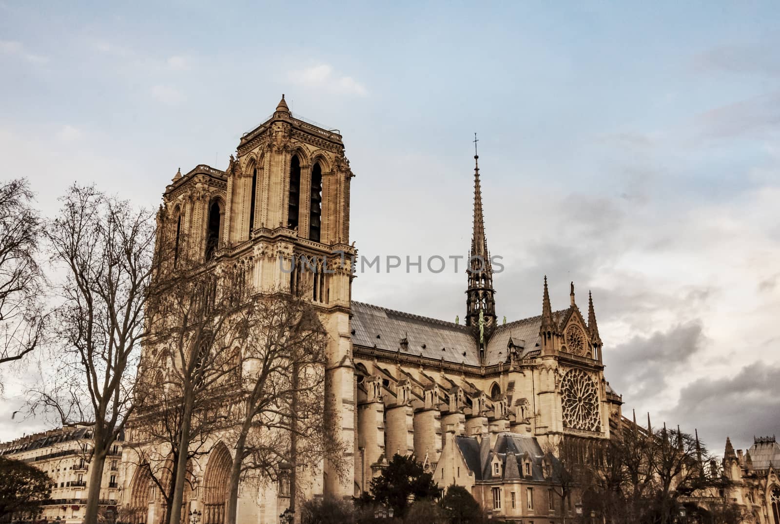 The Cathedral of Notre Dame de Paris on Siena , France