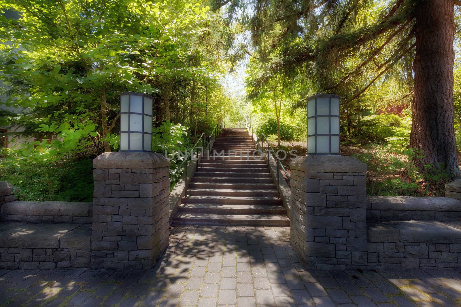Garden path stone columns bench stairs paver bricks walkway and lamp posts in lush greenery in the park