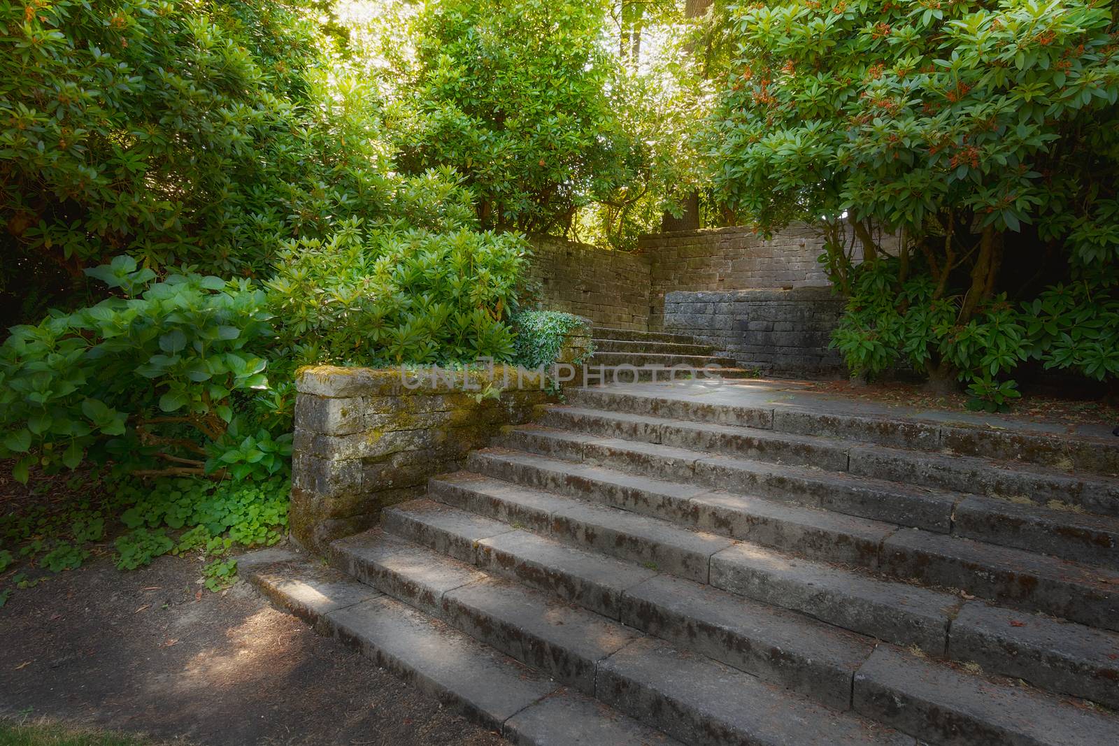 Old garden stone walls and stair steps with lush greenery shrubs plants in filtered sunlight