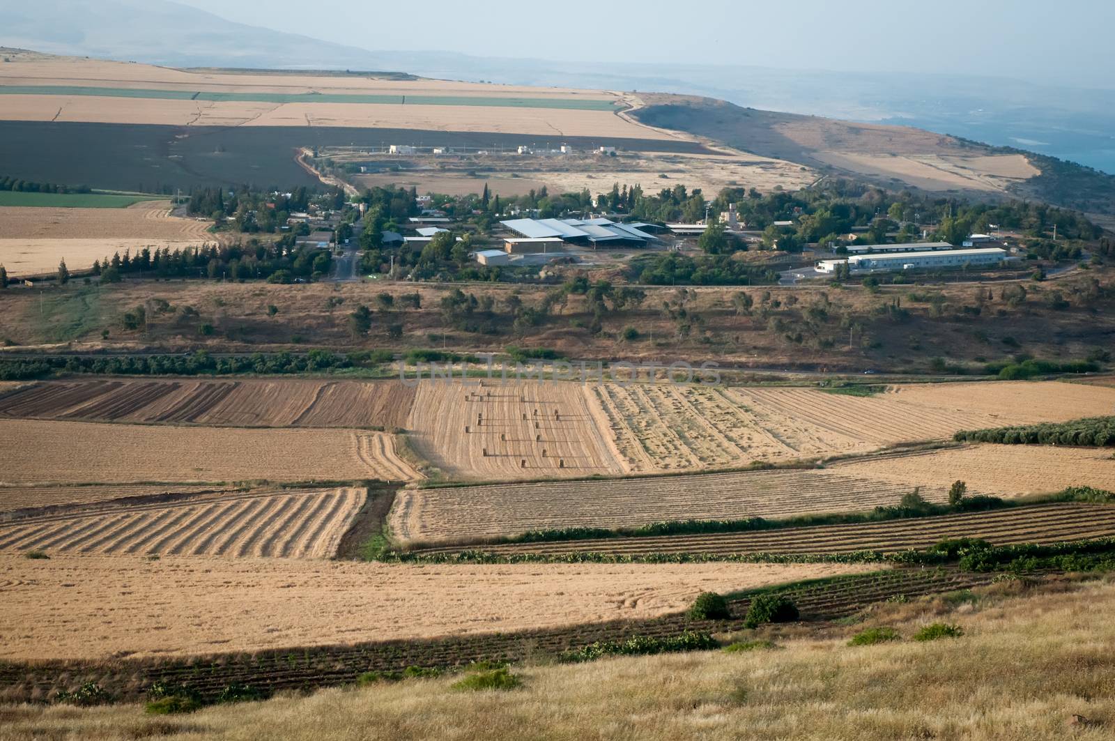 View of agricultural fields ,  lower Galilee . Israel, the month by LarisaP