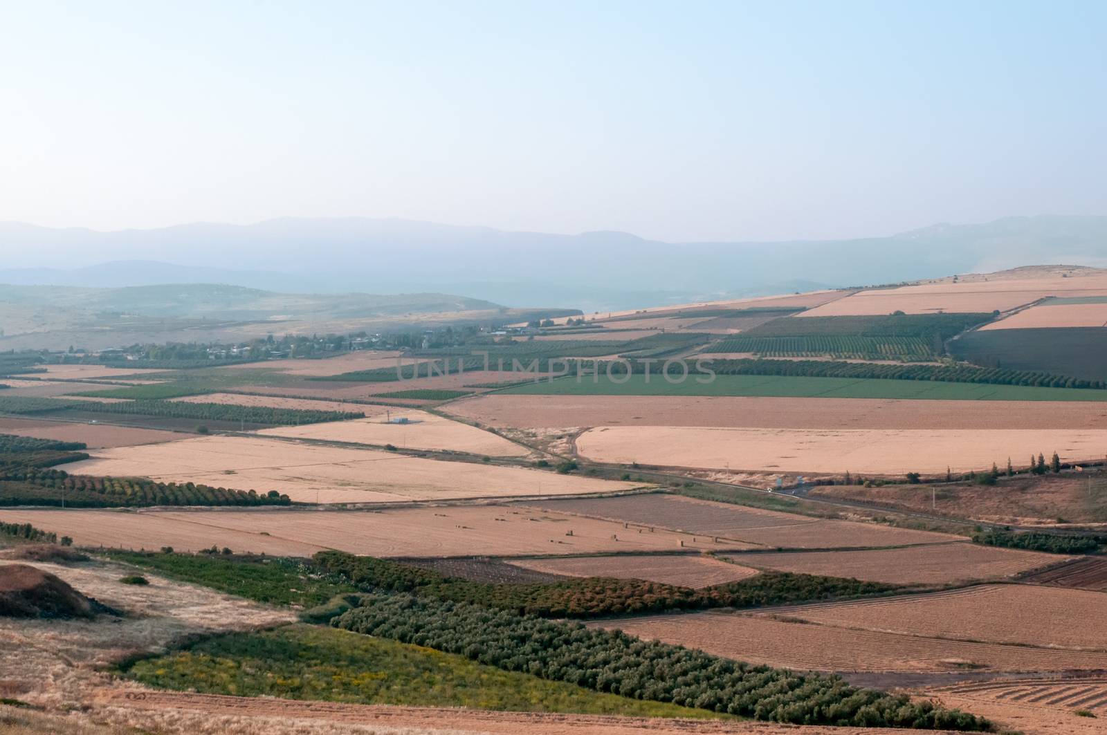 View of agricultural fields ,  lower Galilee . Israel, the month by LarisaP