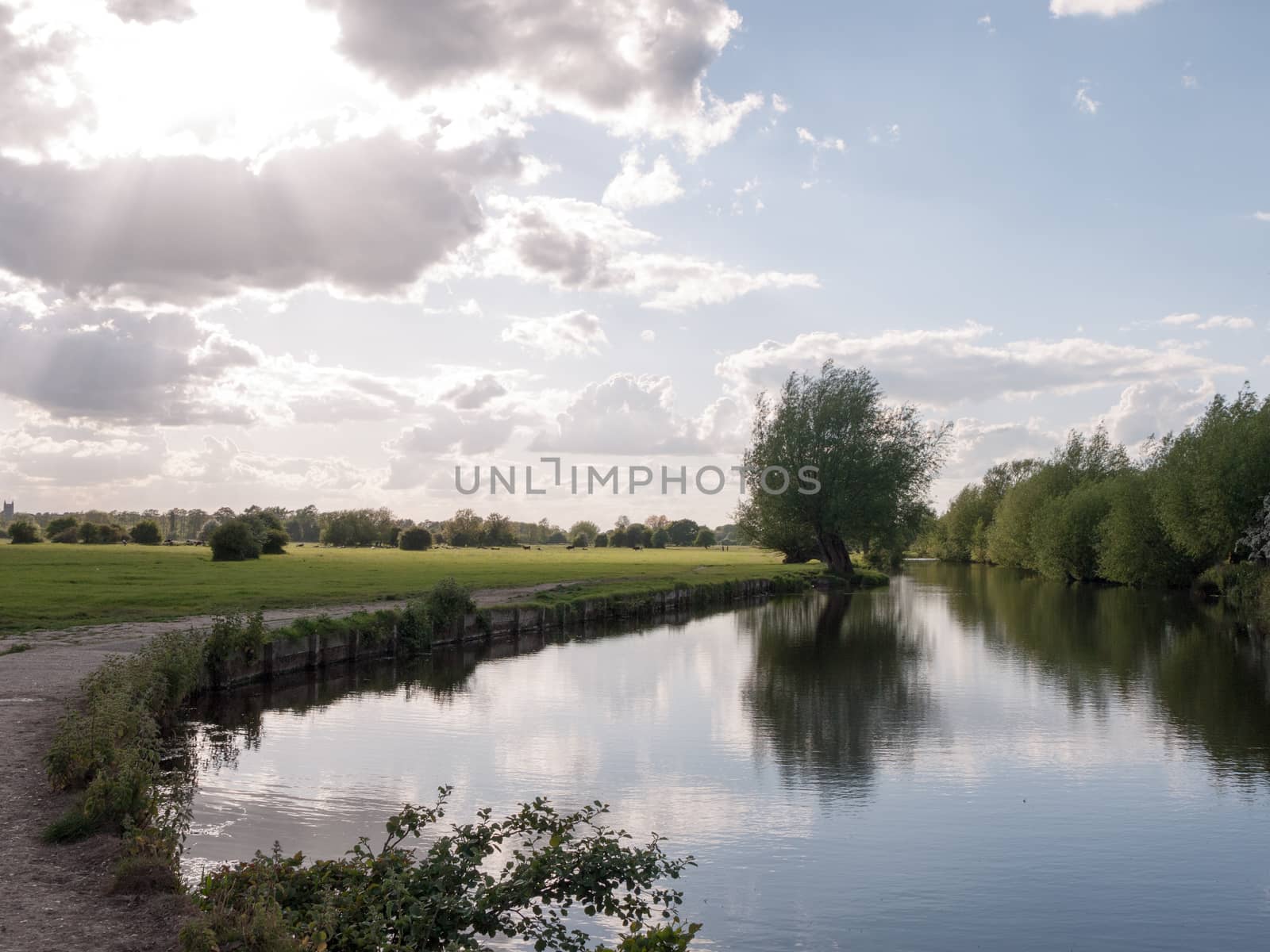 a riverside open scene outside in the country in essex england uk with no people and o boats, very lush and pretty on a late summer's afternoon gorgeous nature