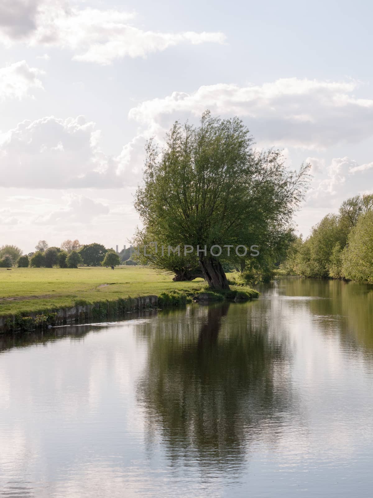 a riverside open scene outside in the country in essex england uk with no people and o boats, very lush and pretty on a late summer's afternoon gorgeous nature and tree reflecting in river