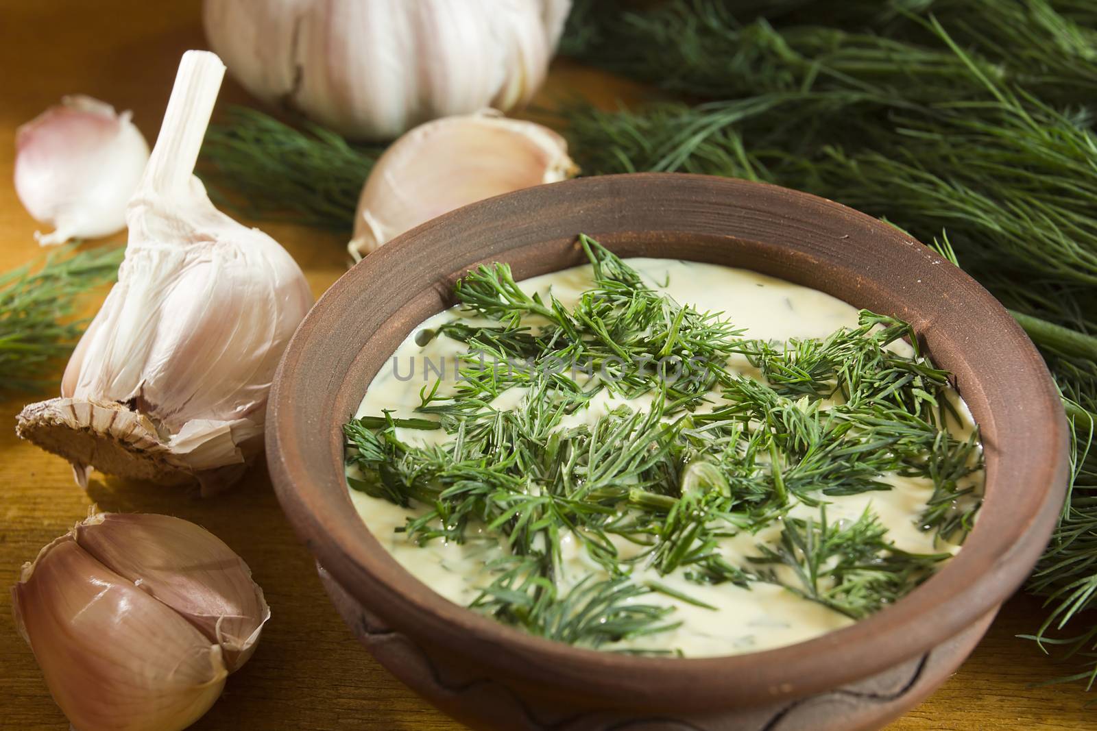 Garlic dip sauce with fresh herbs of dill