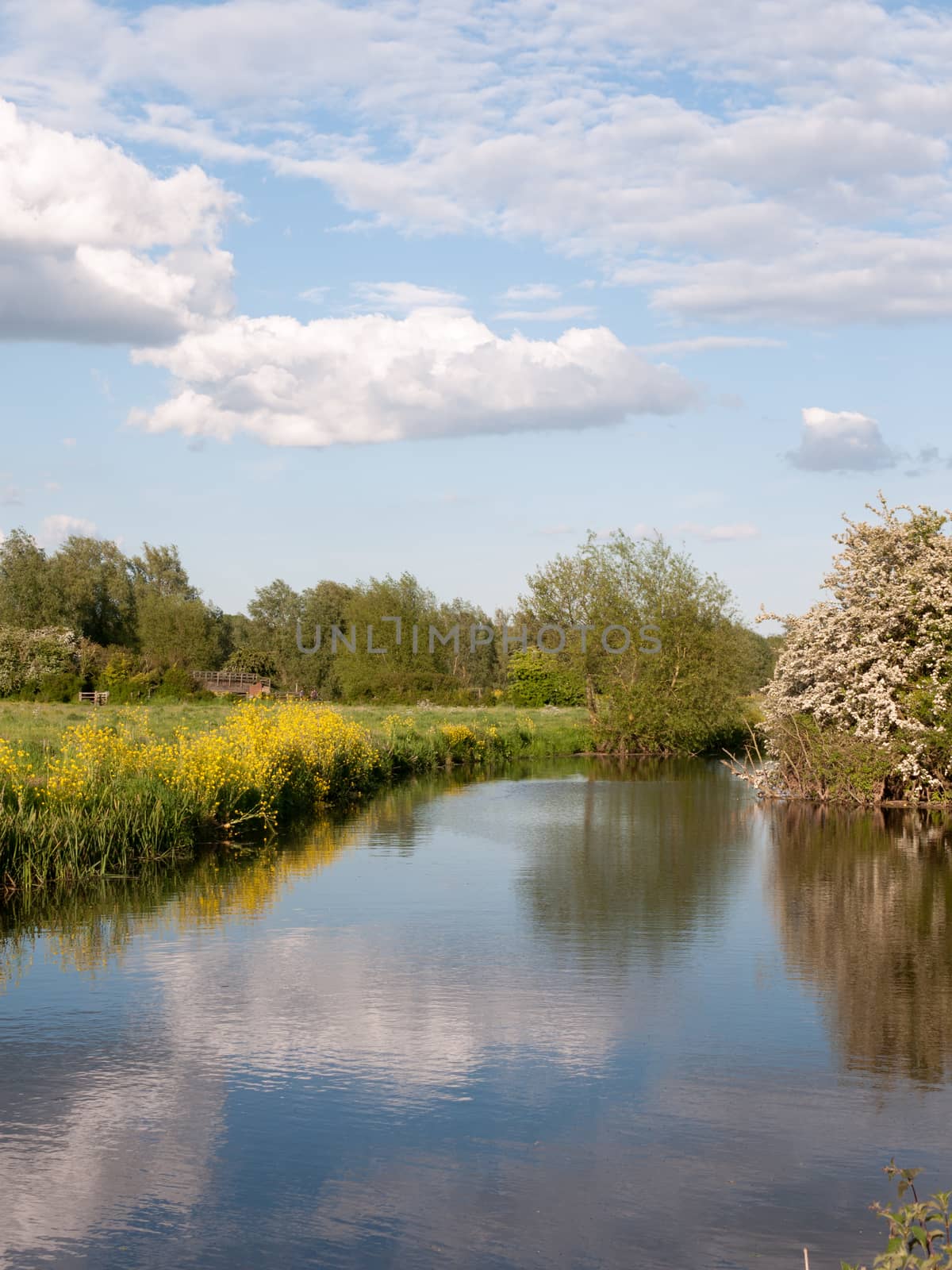 an incredible river running through the country location and landscape outside in the country with reflections in the lake and lots of colour on a summer afternoon in essex uk england and no people walking and relaxing vertical shot