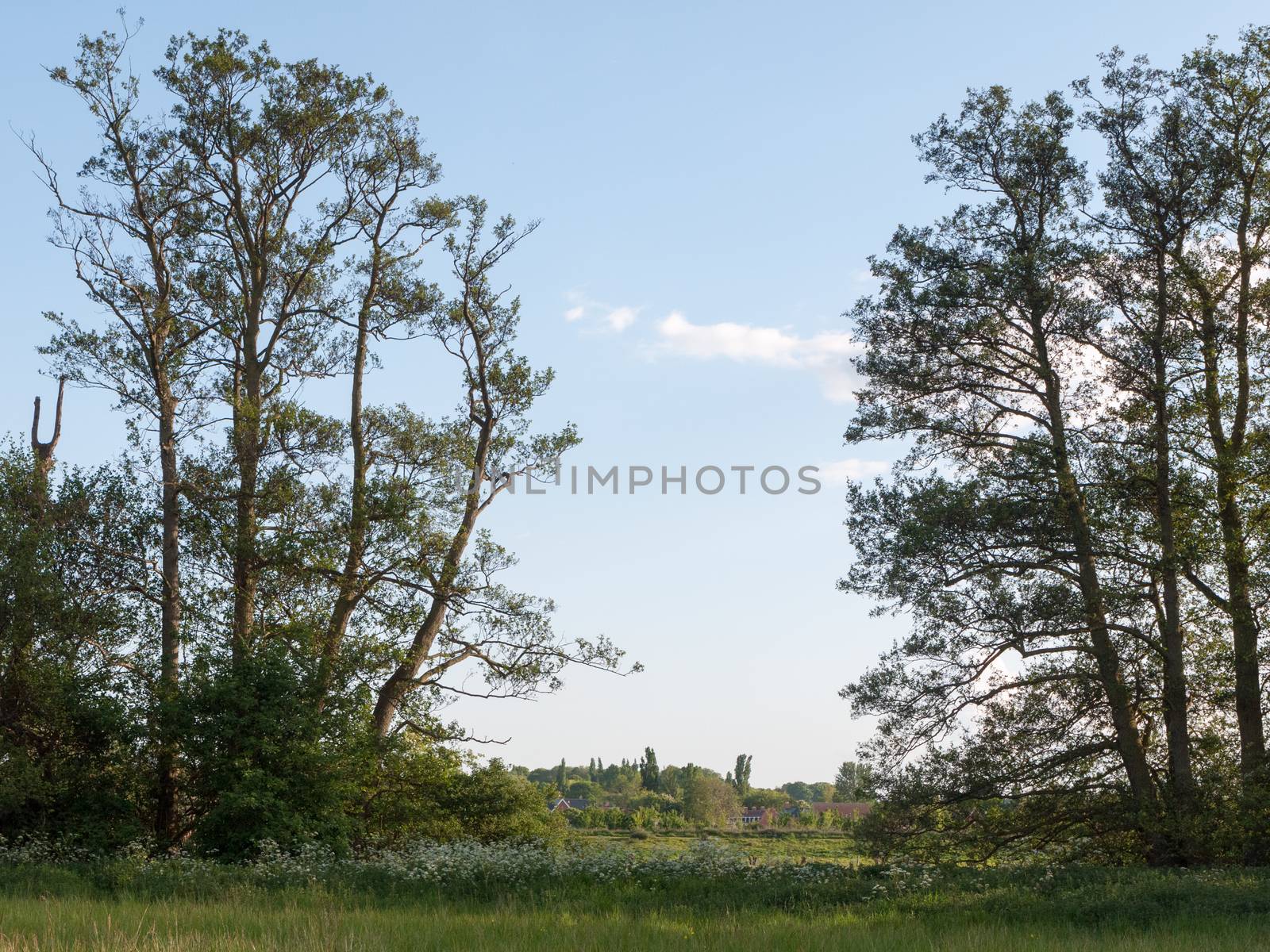 a beautiful scene in the country with a gap between the trees outside and with no people and lots of green colour and a clear relaxing sky of peace and bliss on a late summer afternoon in the countryside of constable essex uk englanda beautiful scene in the country with a gap between the trees outside and with no people and lots of green colour and a clear relaxing sky of peace and bliss on a late summer afternoon in the countryside of constable essex uk england and lush