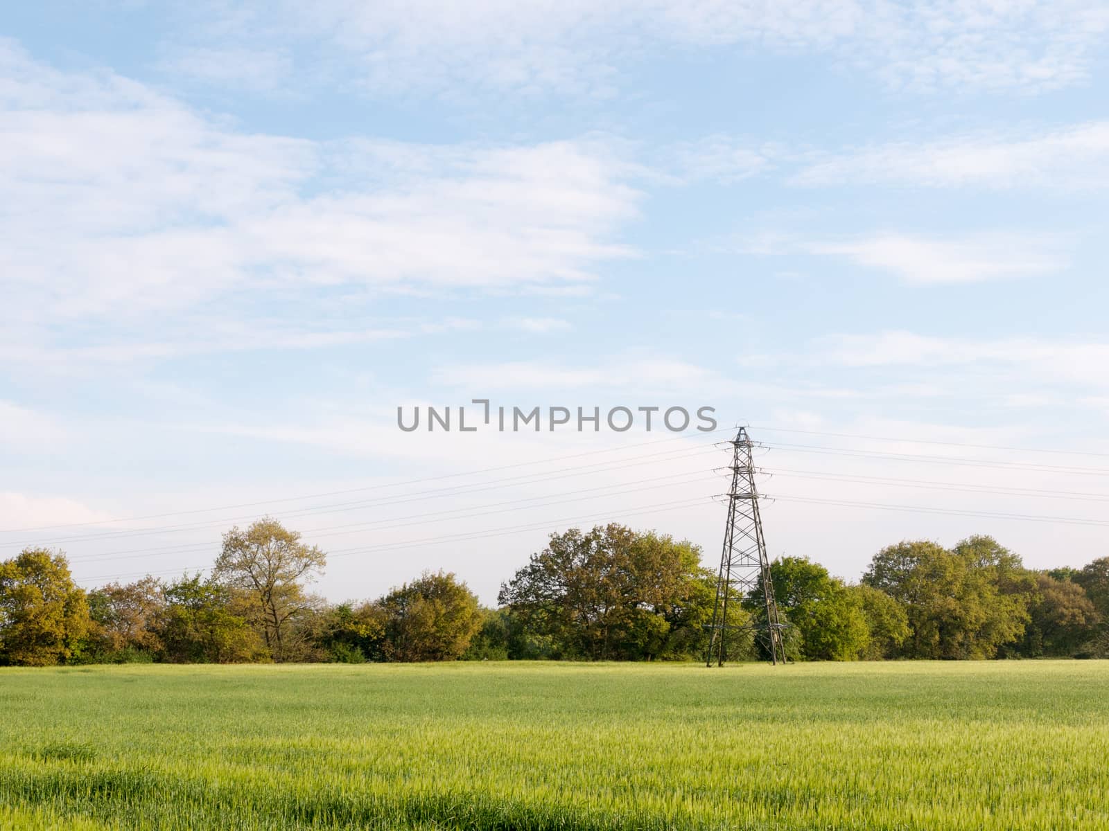 a farm field outside on a clear sunny day gorgeous lush nice farming spring light