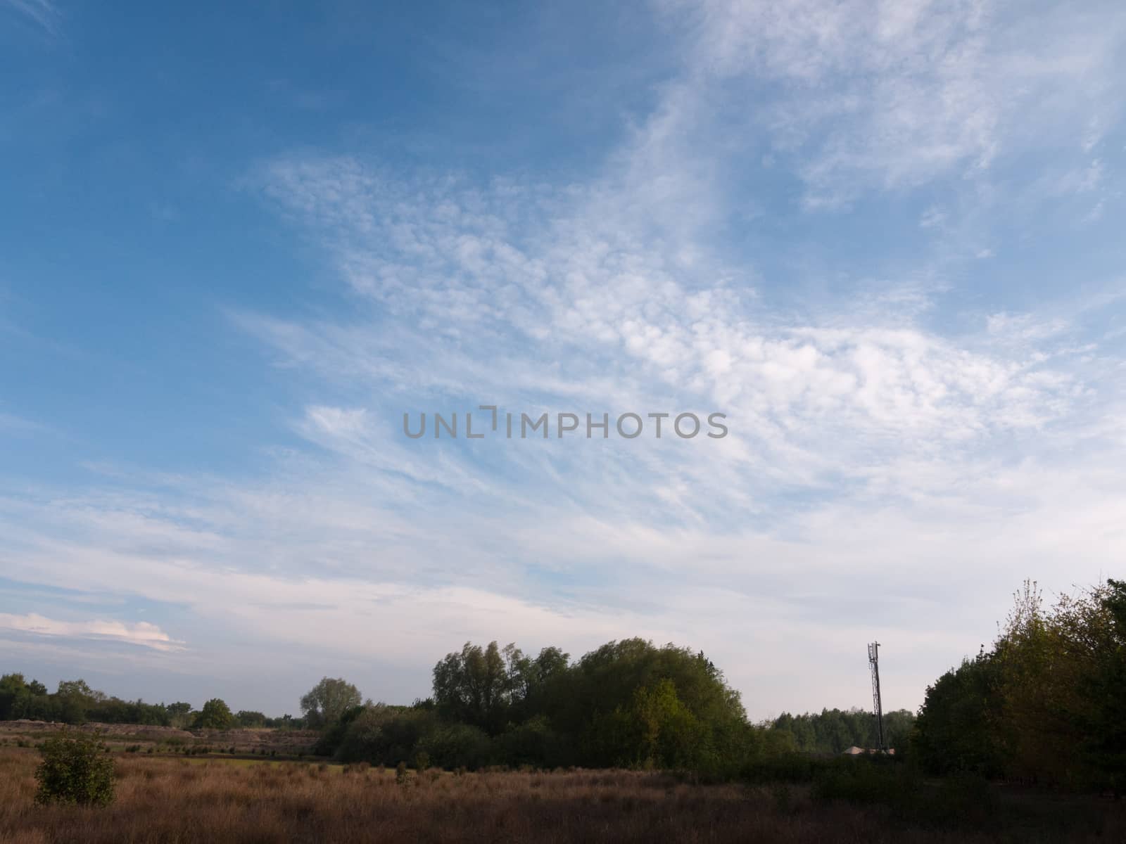 a clear sunny field outside peace wonderful nature no people cloud streaks in peace spring light no people