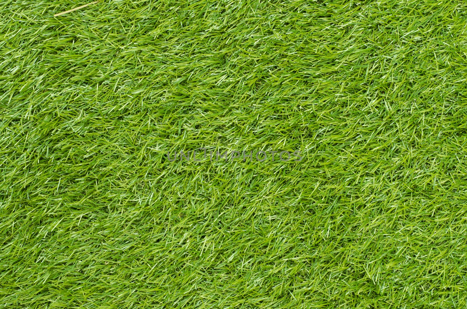 Green grass background by phochi