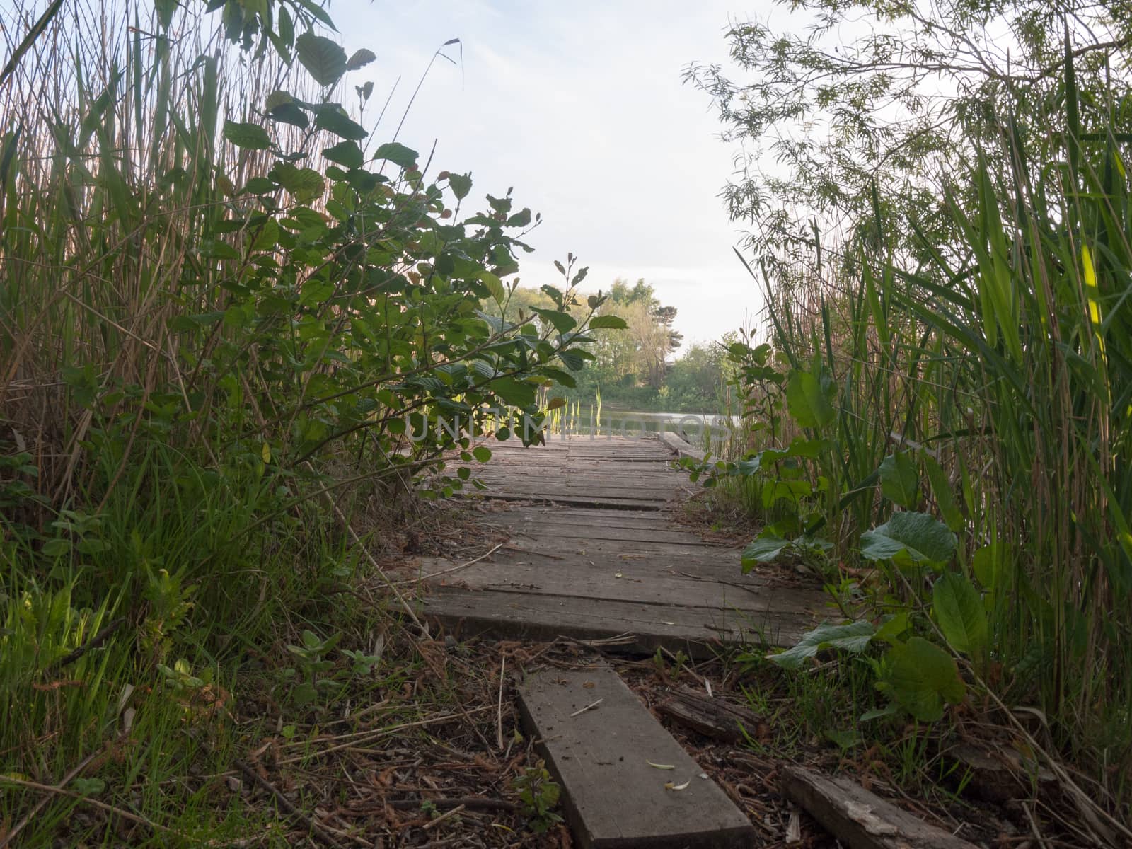 a peaceful place to meditate in the outside country on plank of wood at side of spring river outside spiritual peace