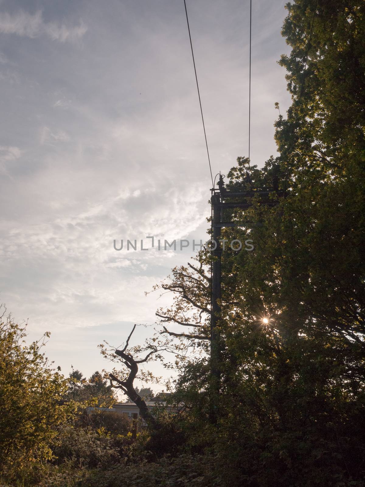 a scene of country with a pylon submerged with the trees outside country with industry and communication and travel sunset