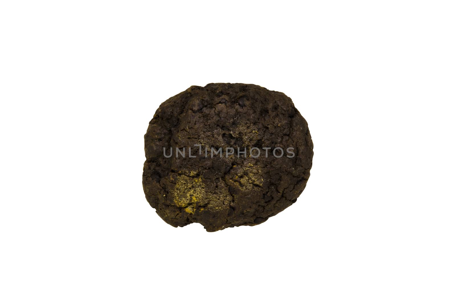 double chocolate chip cookie isolated on white background clipping path