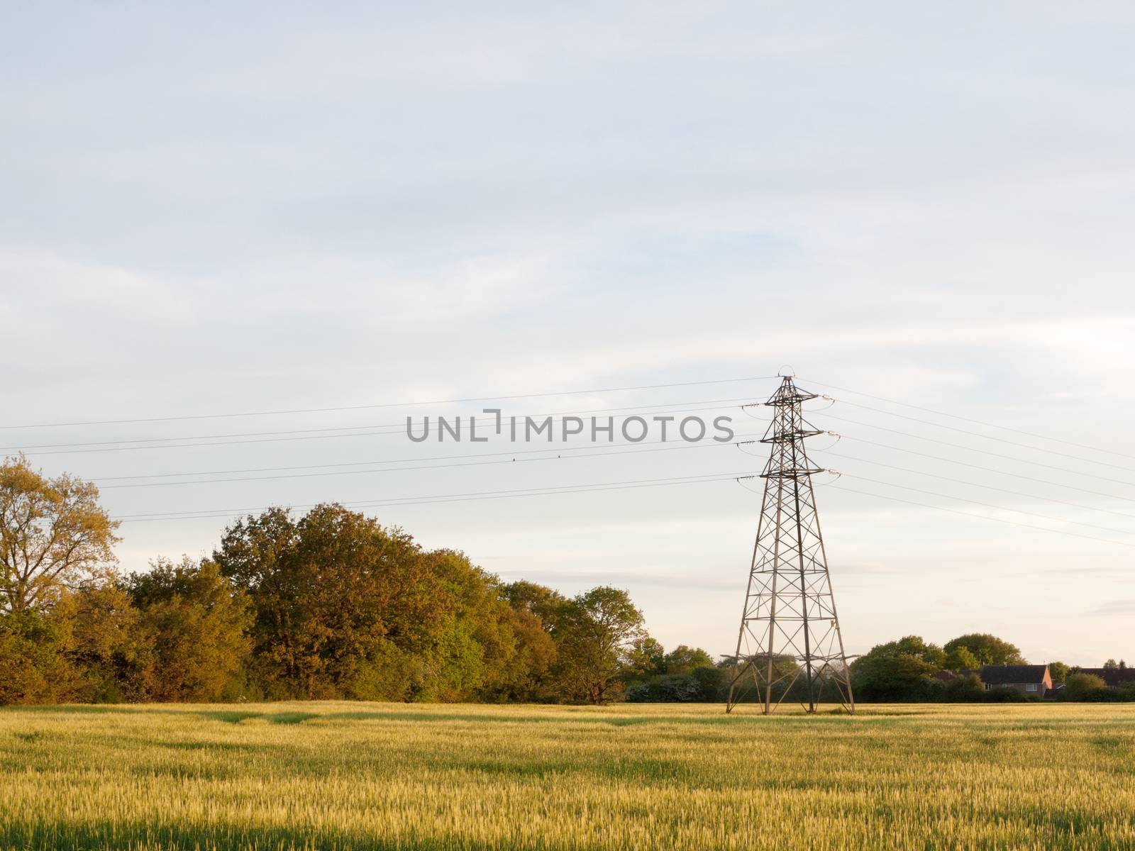 a farm field outside as the sunsets with a serene sky and a pylon wonderful and peaceful with no people