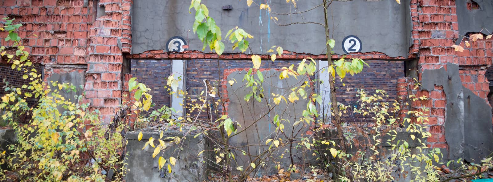 ruins of a very heavily polluted industrial factory, industrial series