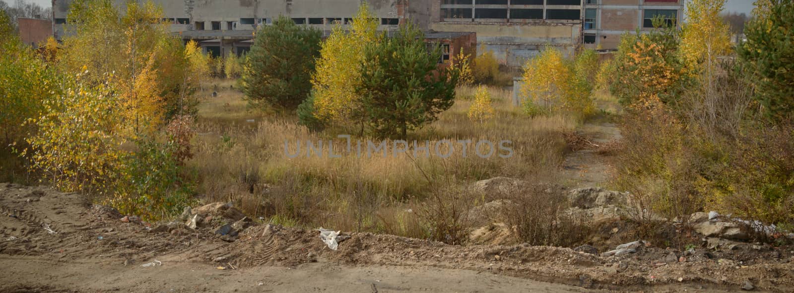ruins of a very heavily polluted industrial factory, industrial series