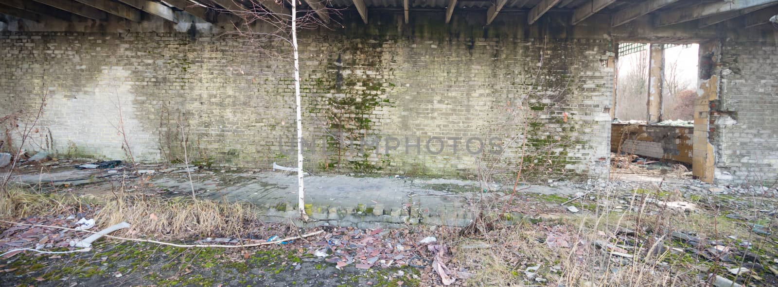 ruins of a very heavily polluted industrial factory, industrial series