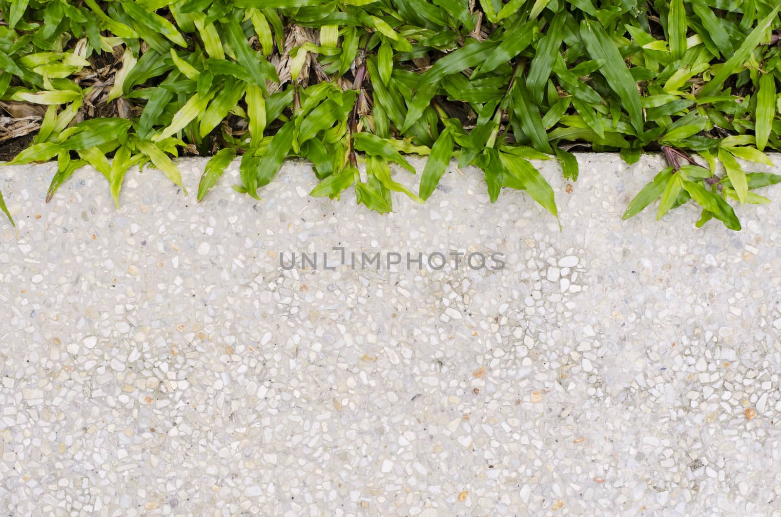 Gravel texture and strip grass as background copy space