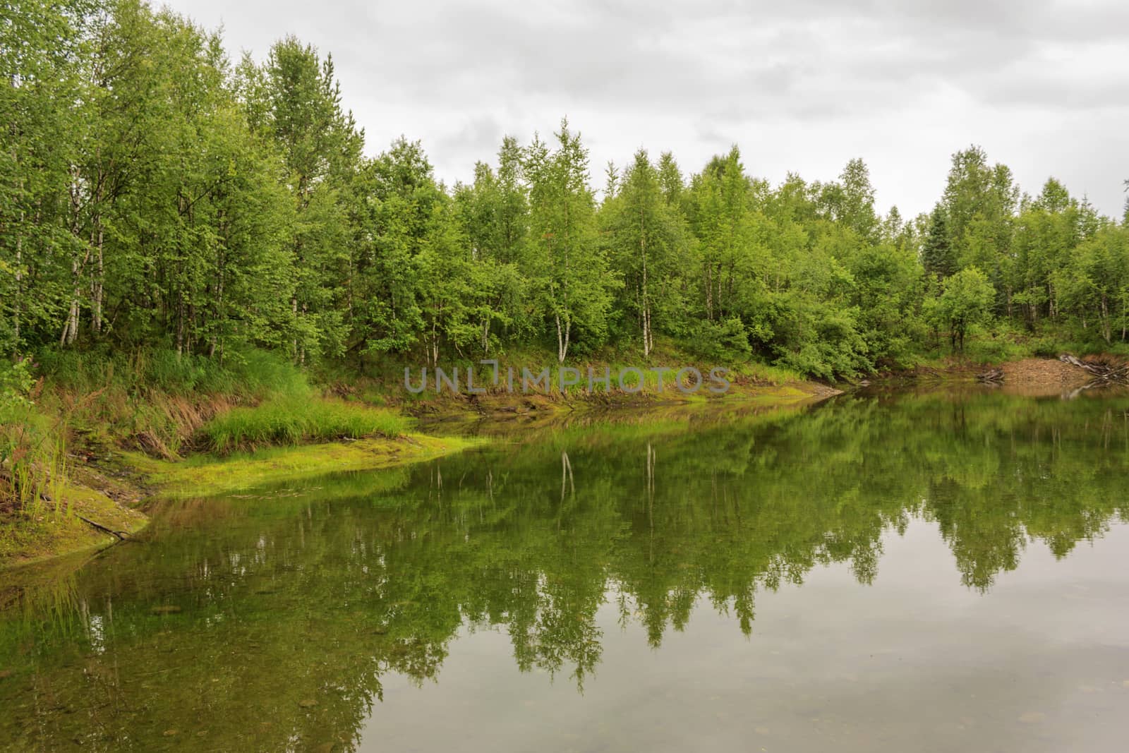 Spilling river in a green forest natural background.