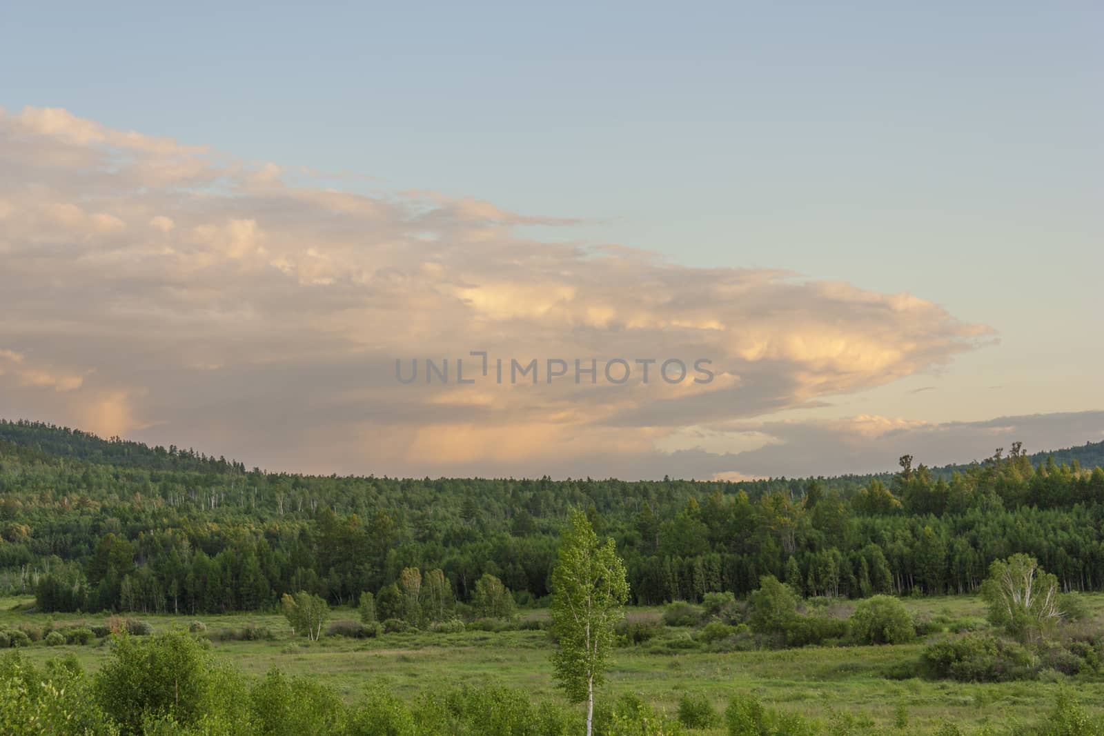 Forest and field with clouds of illuminated sun at dawn by aarrows