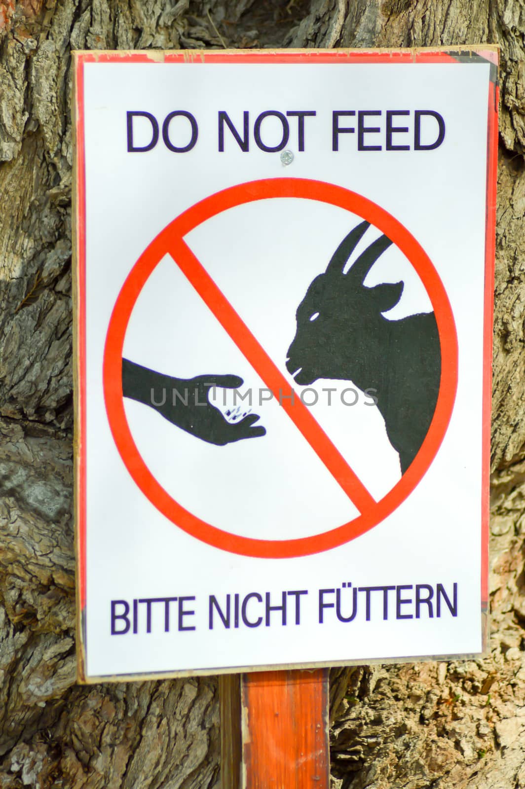 Billboard do not feed the goats in English and German hang on a tree