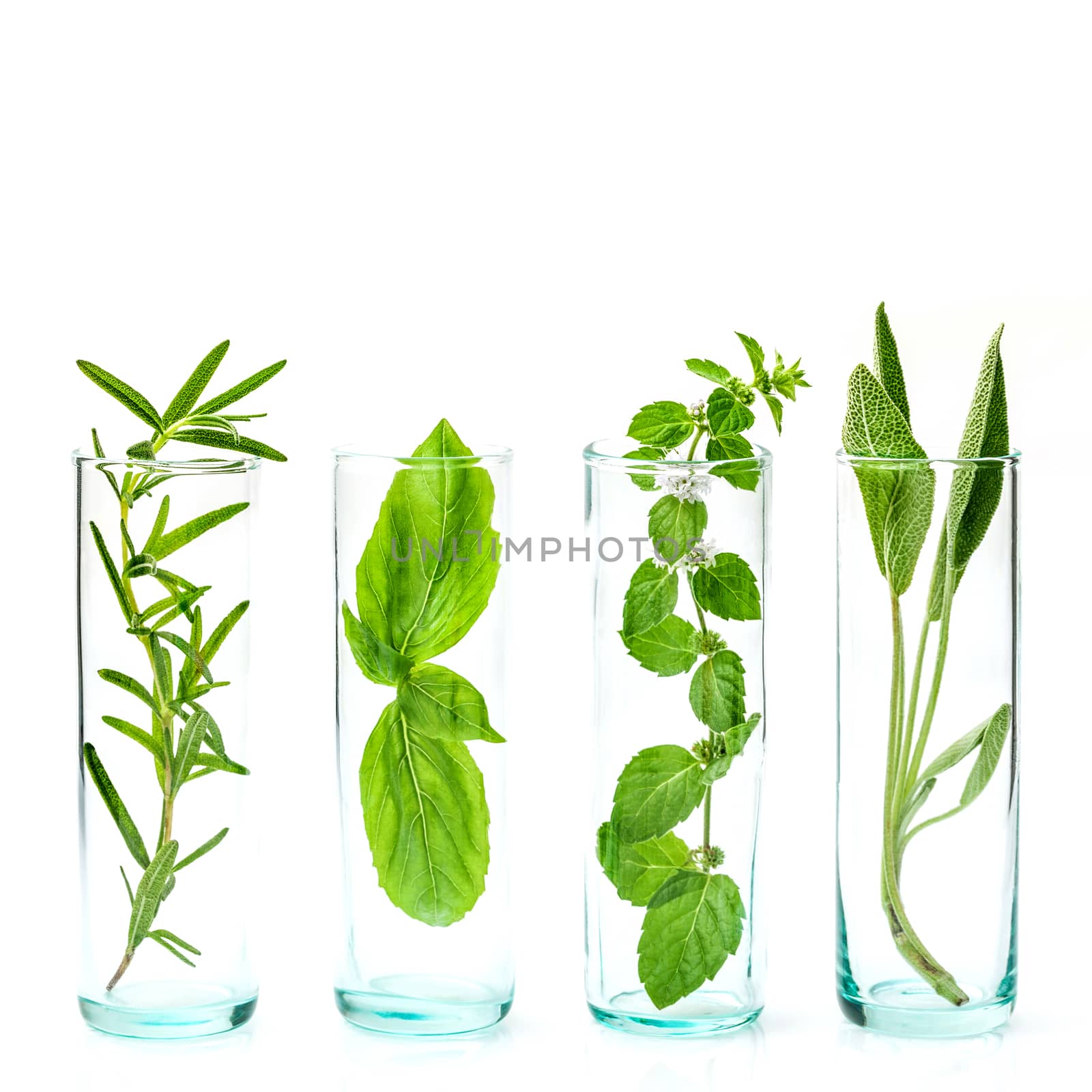 Close Up bottles of essential oils with fresh herbs . Sage, rosemary, sweet basil leaves and peppermint branch isolated on white background.