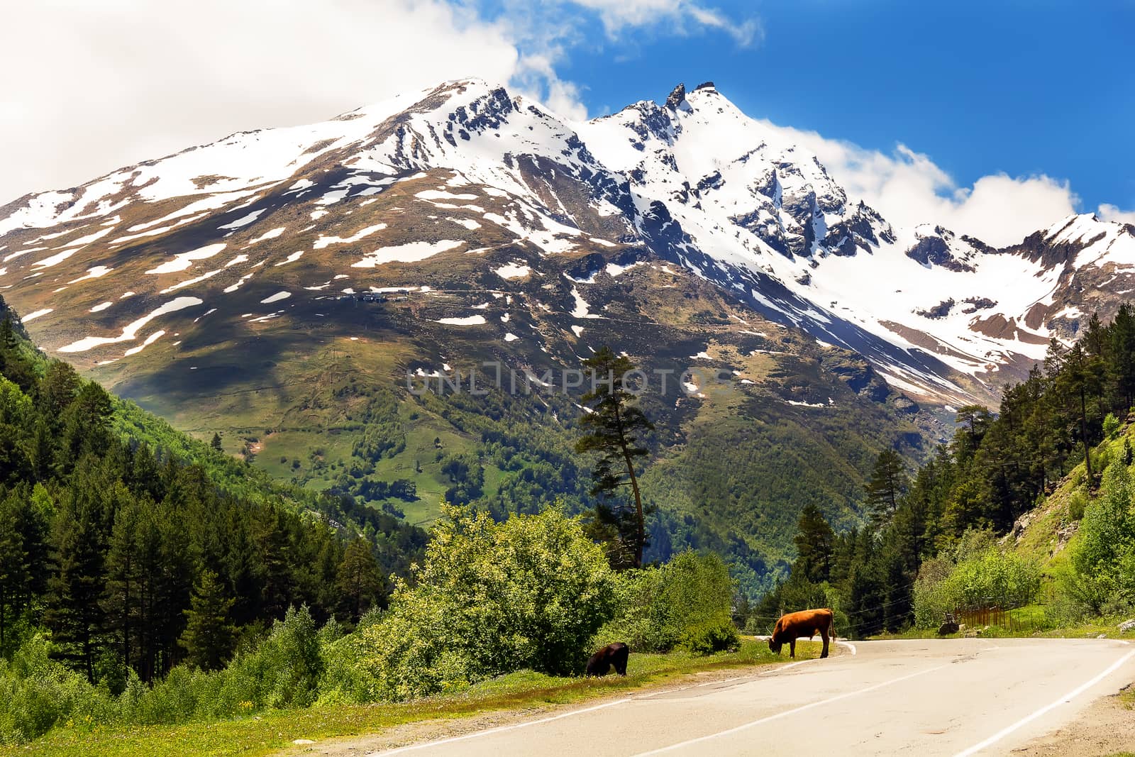 Summer landscape of mountains Caucasus region with road