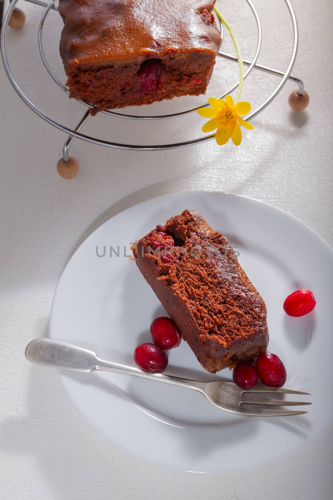 Chocolate and caramel cake with cranberries on a table