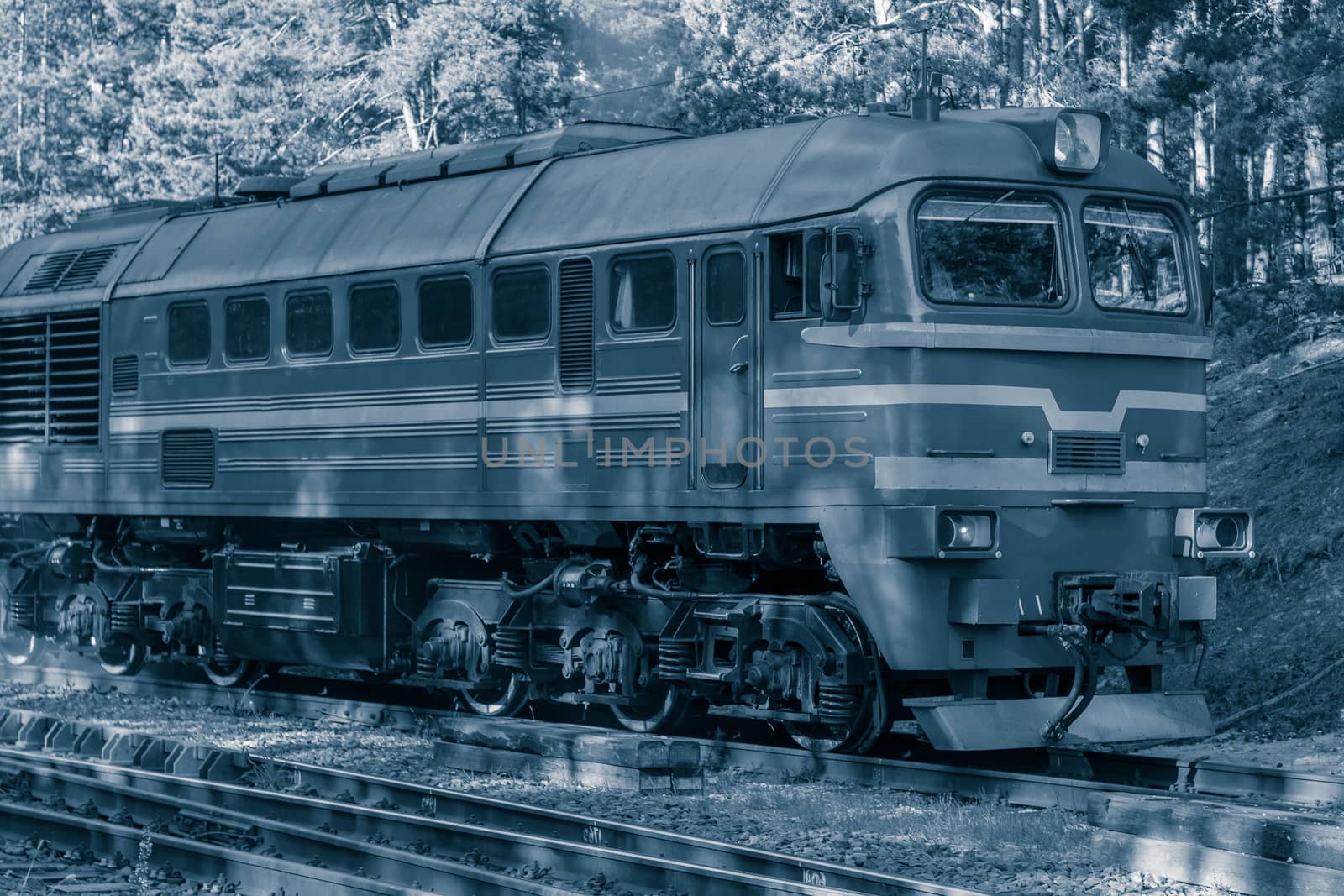 Diesel cargo locomotive with oil tanks in forest