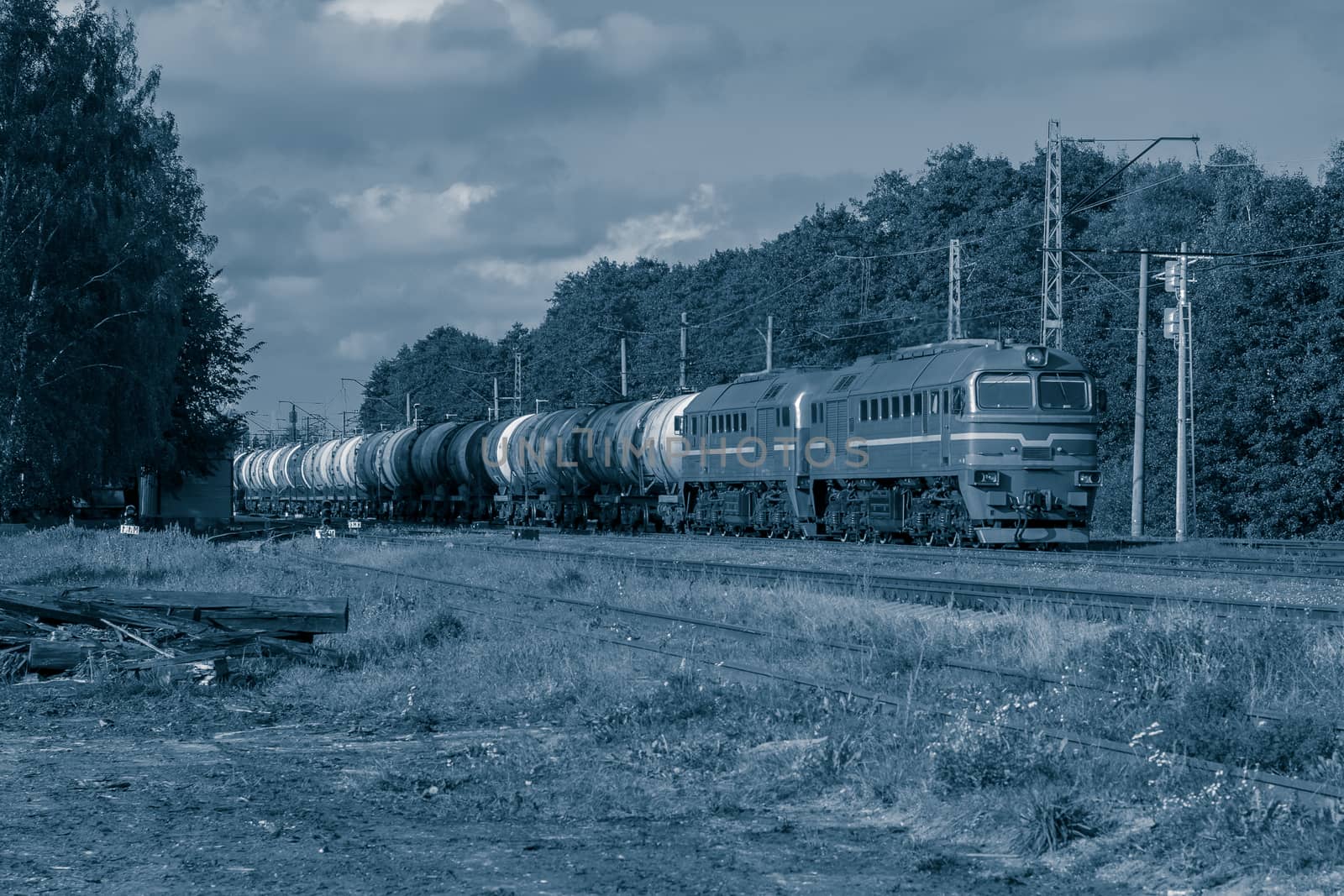 Diesel cargo locomotive with oil tanks in forest