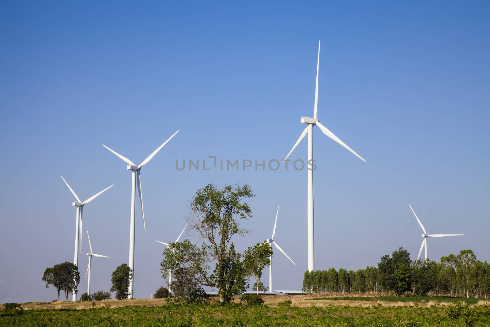 A Wind turbines farm. Alternative energy source.